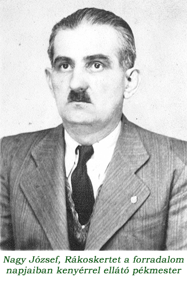 nagypekfe