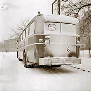 21buszh