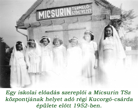25micsurinfe